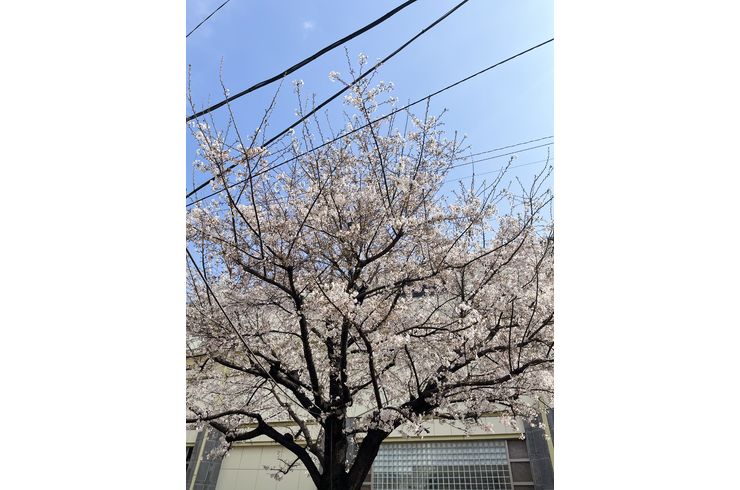 硝子　ガラス　花瓶　花器　うつわのわ田