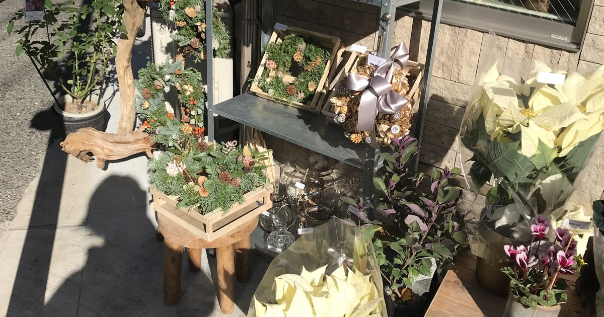 豪徳寺街情報 Hanazukanさん