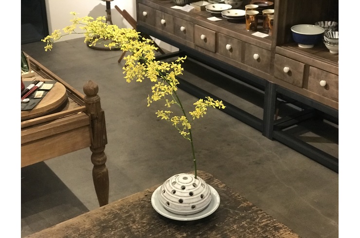 桜秋窯の陶器の剣山 | 花器・壺・鉢 | 商品紹介 | 東京の食器専門店