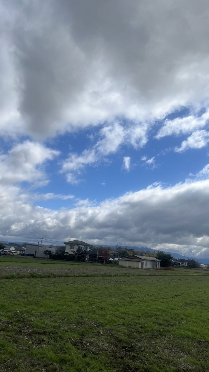 IMG_3810.JPEG