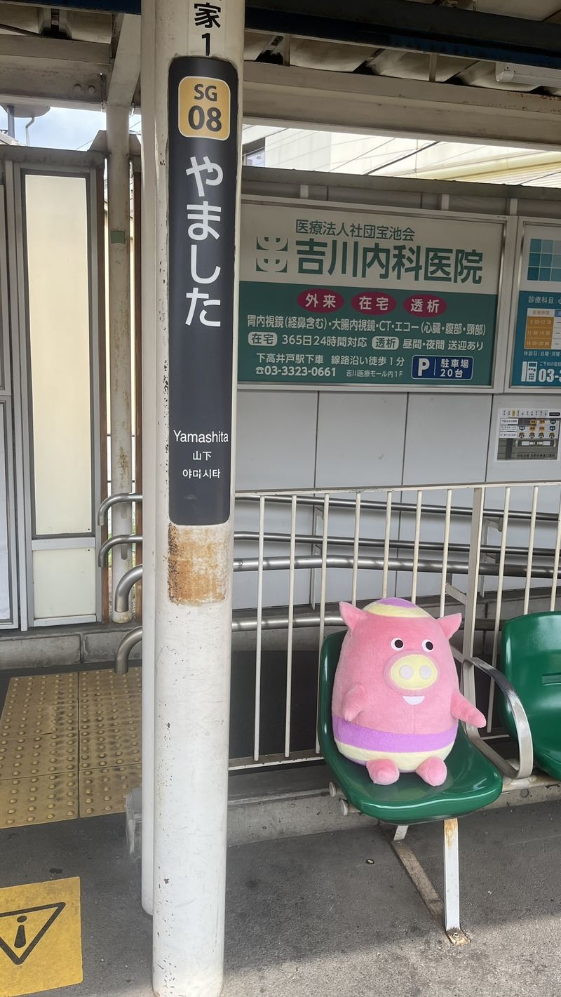 IMG_1649.JPEG