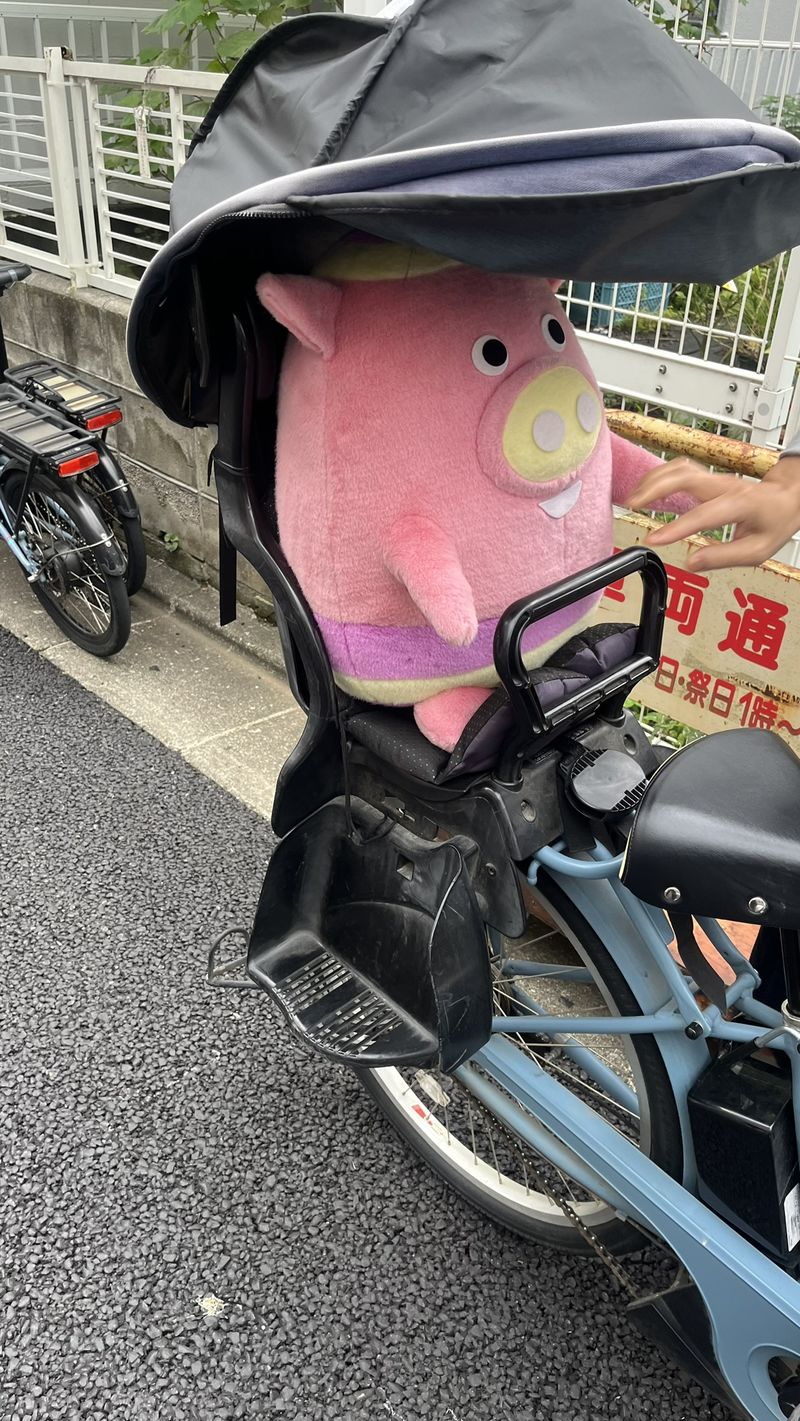 IMG_1958.JPEG